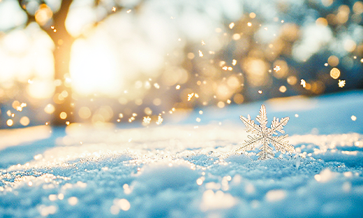 【喜報】中船風(fēng)帆“‘產(chǎn)改’賦能、助工成匠”工作結(jié)碩果